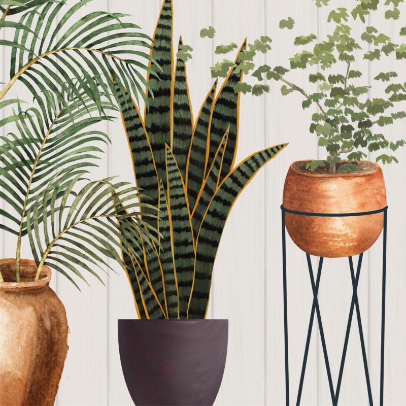 Plantes, pots et animaux