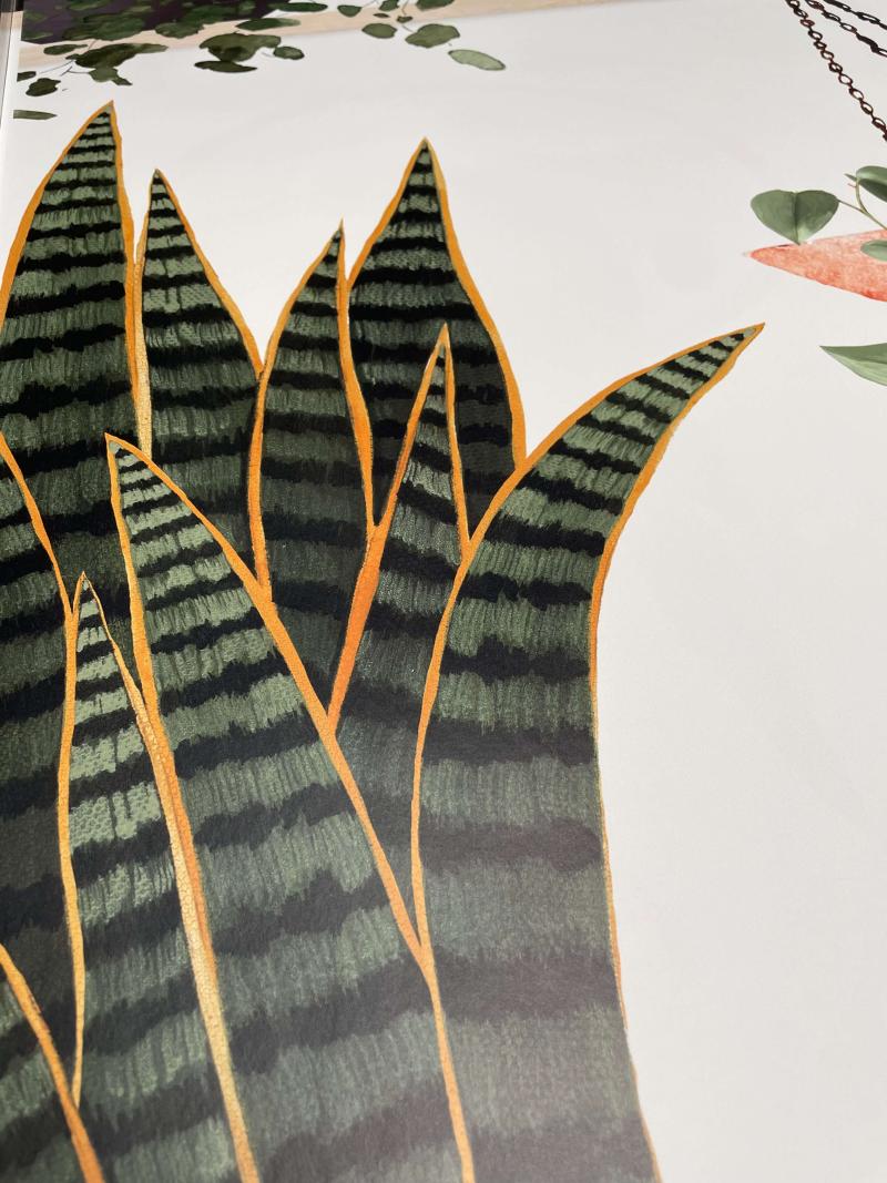 Plantes, pots et bouquins