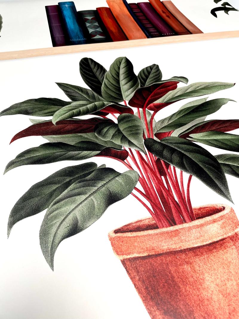 Plantes, pots et bouquins