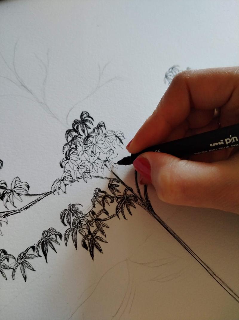 Flora Lacour Filliol