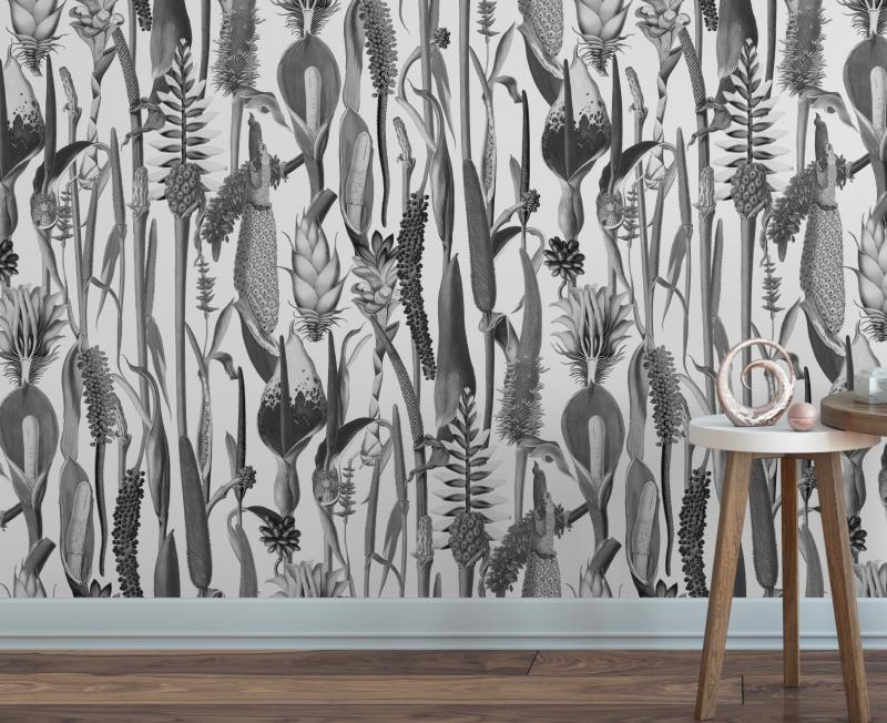 Babylonia noir et blanc