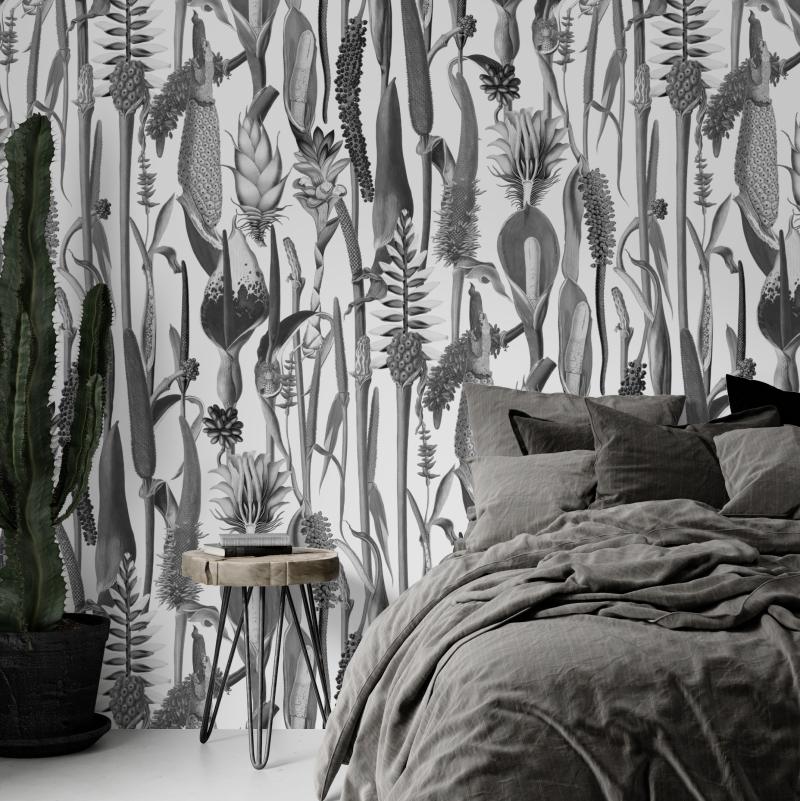 Babylonia noir et blanc